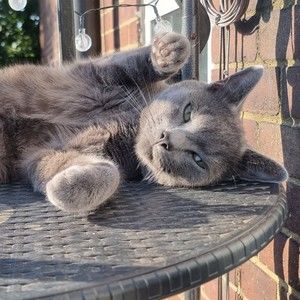 Meet your Posher, James